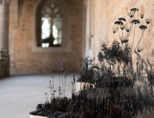 Herbes folles